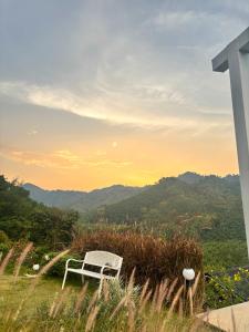 Camping phutajoy Khaosok แคมป์ปิ้งภูตาจ้อยเขาศก