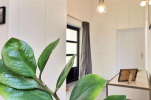 The Loft A bright studio with a distinctive design