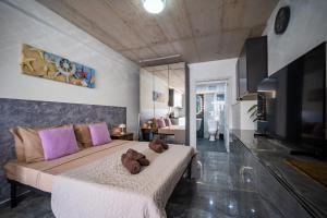 Seafront, lovely modern studio.