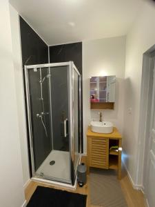 grand appartement lumineux proche du centre avec cour privée