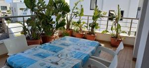 Charming apartment 2 minutes from Mansourah sea