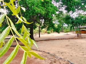 Bundala Resort