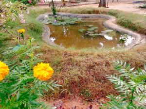 Bundala Resort