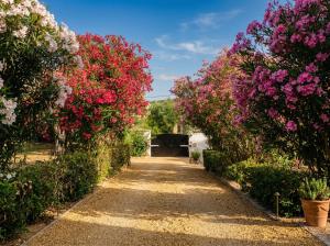 Villa Estrella Privé with Private Pool and Billiard room img55