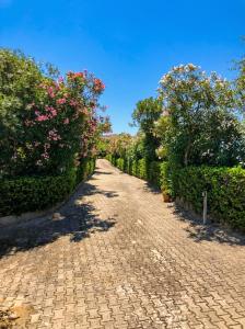 Villa Estrella Privé with Private Pool and Billiard room img61