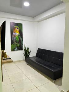 Apartamento Colibrí en Armenia