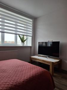 Cozy City Centre Studio Apartment