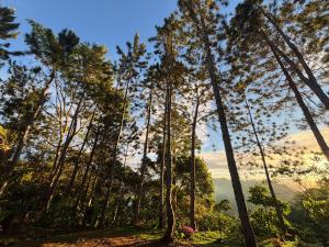 Mountain Retreat Refugio de Aves