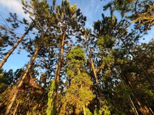 Mountain Retreat Refugio de Aves