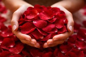 Loveroom Ô Diable Des Plaisirs