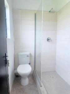 One-bedroom apartments in the outskirts of Lusaka near Unlius