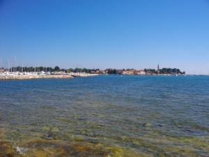 Apartment Novigrad 1 