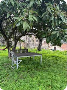 Maison colette CORDOLIANI