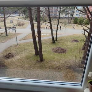 Butas Visagino mieste 2 kambarių pilnai įrengtas,jaukus,komfortiškas