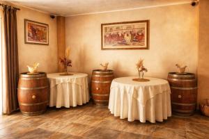 Agriresort Terradome img7