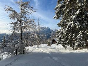 chalet in authentic Manigod farm
