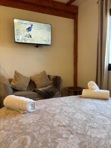 LAtelier de Paquita - Delta de lEbre