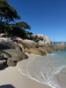 Katamaran Lagoon 46 Seashell Yachting