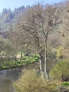 Group gîte in the heart of the Mancelles Alps