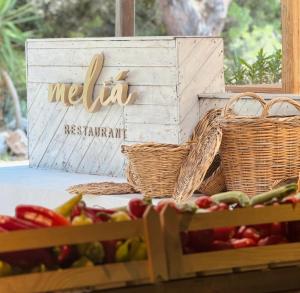 Karidi Beach Gaia Retreat