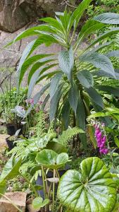 Studio de Standing Perros-Guirec à Proximité Des Plages