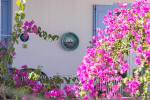 Alegria Villa