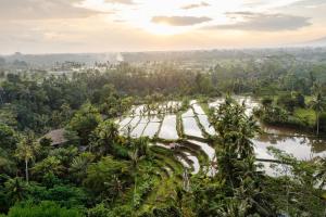 Kuaya Alam Private Pool Villa and garden
