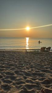 Halkidiki