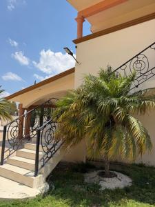 Hotel la finca