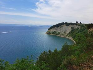 Lush Garden Hideaway FAMA near Portoroz