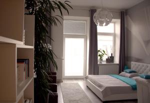 Apartment Centrum number 8