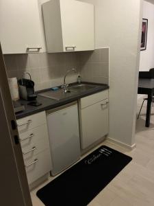 Beautiful, cozy 1-room apartment in city center