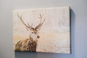 The Dram Nook Sleep 6, Central Stay!