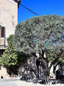 Mas la Fàbrica Rural Home