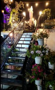 Alsara Guesthouse