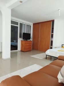 casa Olga ap 4 camere parter