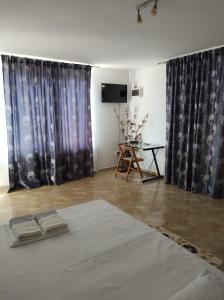 casa Olga ap 4 camere parter