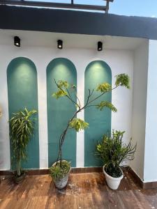 1202 , Rooftop , Cozy Cave 2BHK with Pvt Theatre