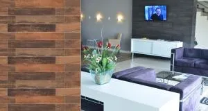 Hoteis Cattoni Executive - 拉热斯