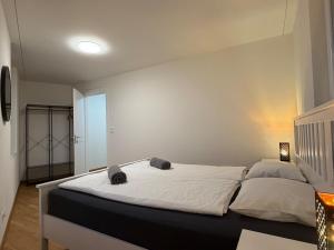 Swiss Suites Oberglatt