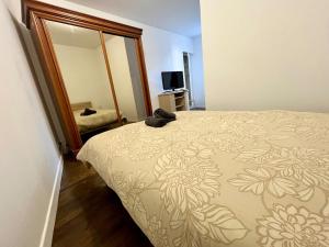 Joli T2 calme et lumineux centre ville et gare