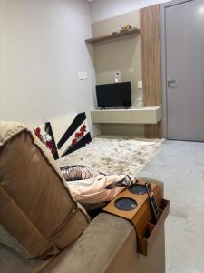Studio Novo