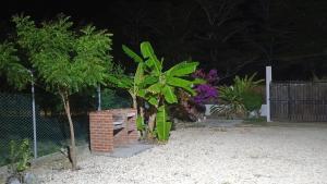La casa en el Aire- Cabañas la consentida