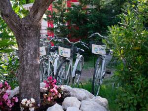 Mobile Home im Ferienpark in Cologna Spiaggia