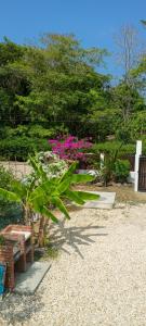 La casa en el Aire- Cabañas la consentida