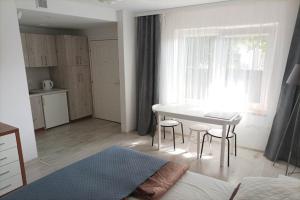 Studio for 2 people, Rowy