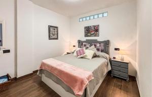 Pet Friendly Apartment In Torrevieja With Wifi