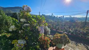 Aurora Residence Nuwara Eliya