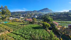 Aurora Residence Nuwara Eliya