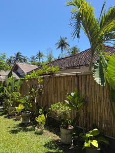 Mango Room Mandalika